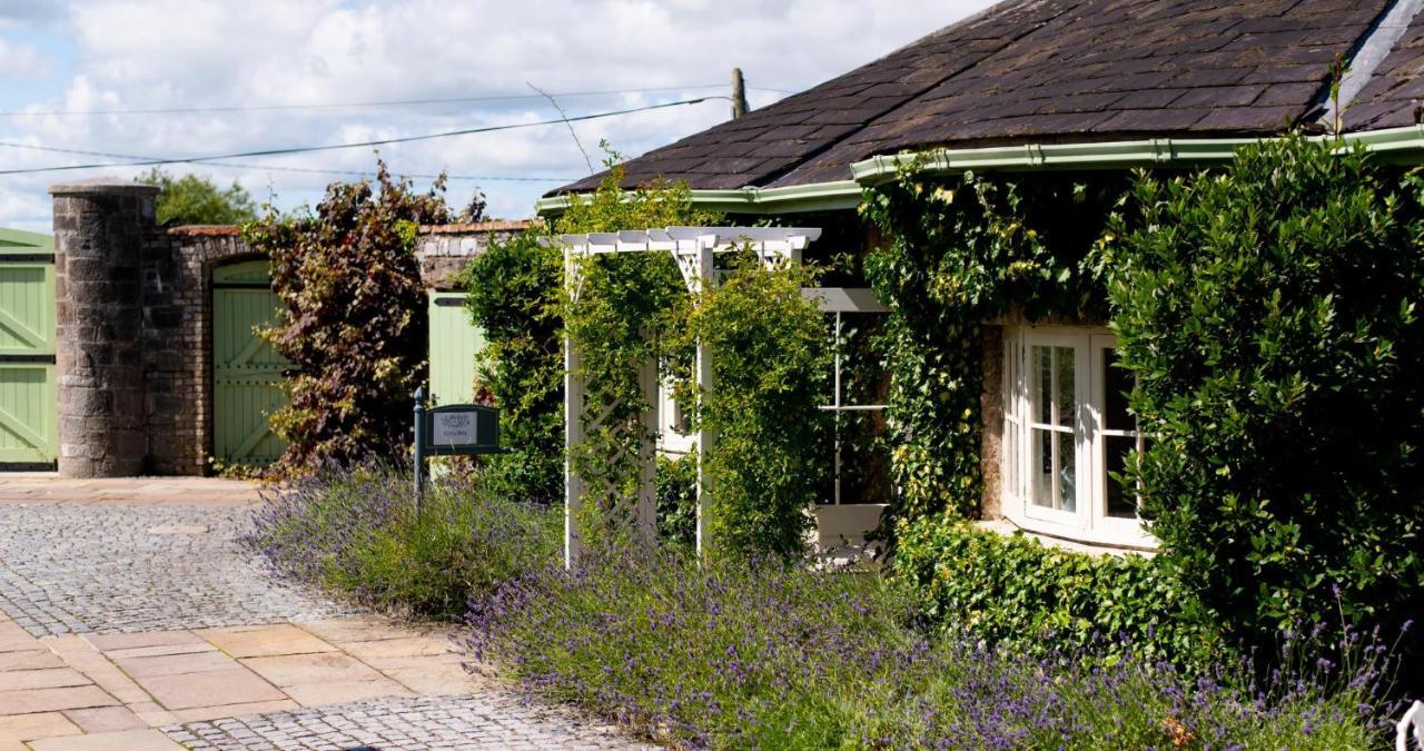 Cliff At Lyons Hotel Celbridge Exterior photo